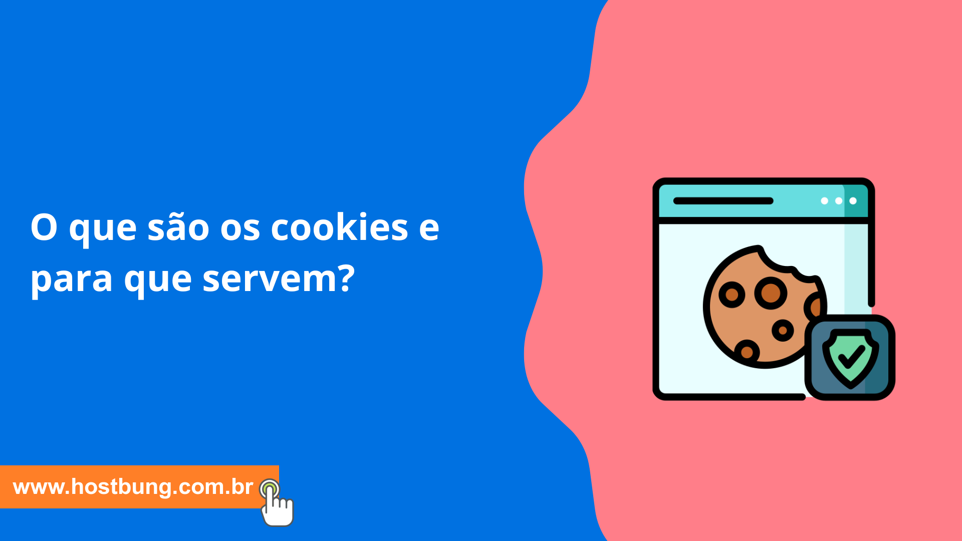 O que são os cookies e para que servem?